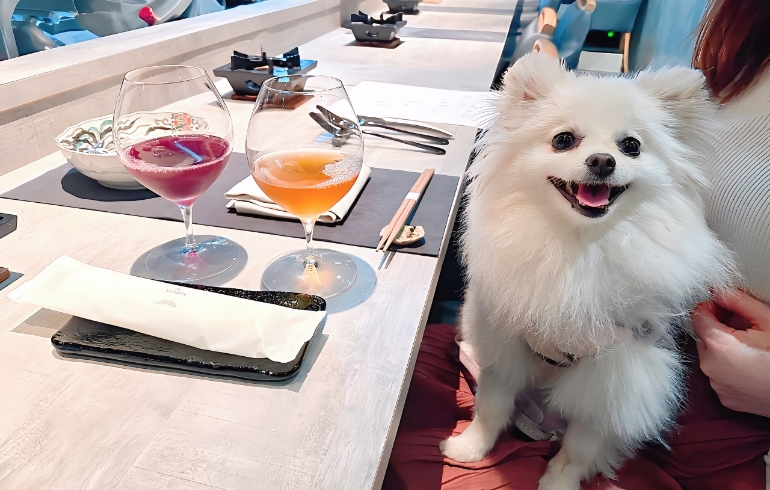 ワイン２種