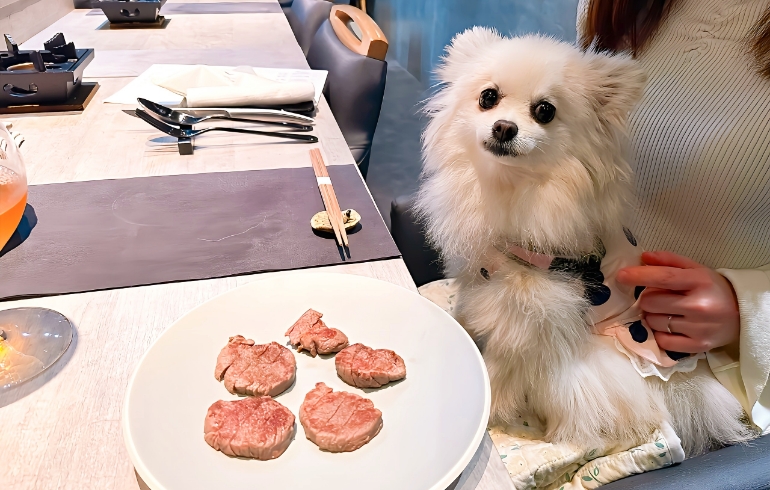 シェフが心を込めて手作りした、鹿肉のジャーキー