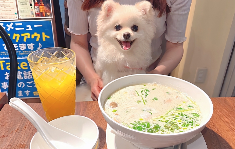 トムカーガイ（ココナッツミルクのスープ）とゆめちゃん
