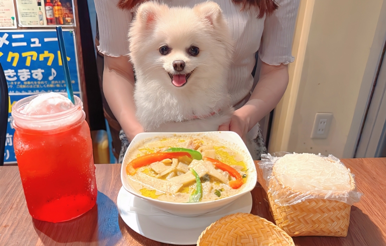 グリーンカレーとゆめちゃん