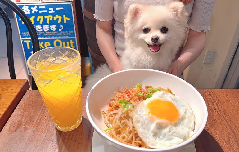 汁なしタイラーメン（クイッティオーヘン）とゆめちゃん