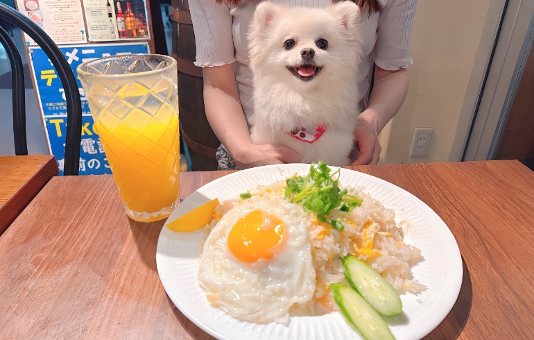 タイチャーハン（カオバッカイ・タレー）とゆめちゃん