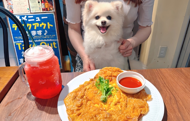 タイの卵焼き（カイチョウムーサップ）とゆめちゃん