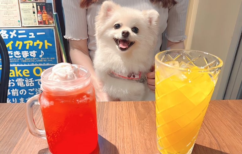 ピンクミルクフロートとピンクフロートソーダとゆめちゃん