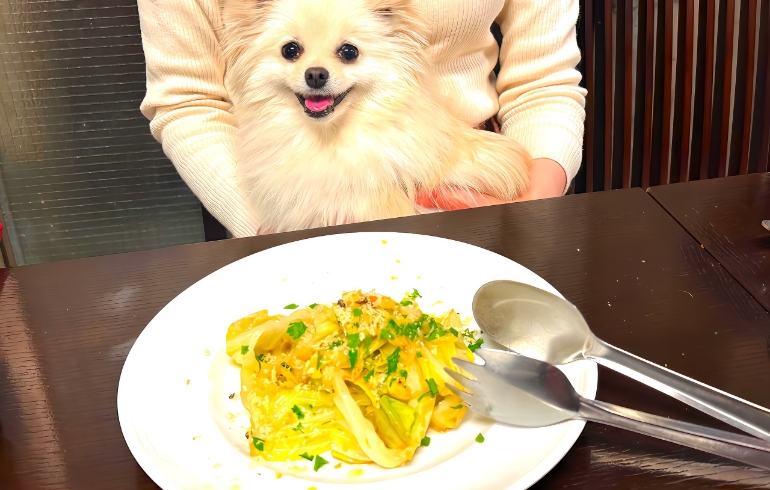 アンチョビ