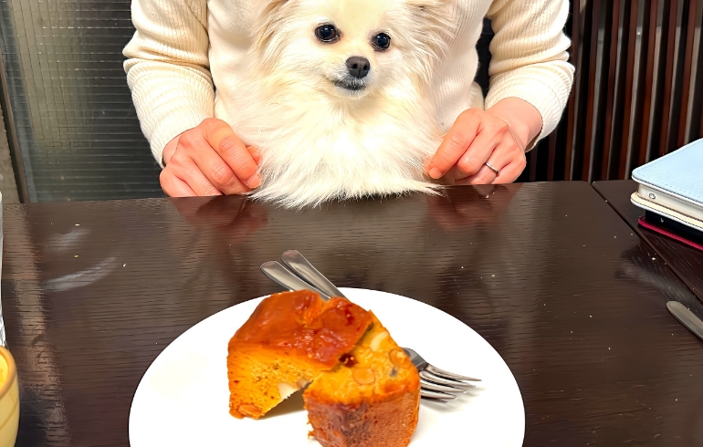 パウンドケーキ