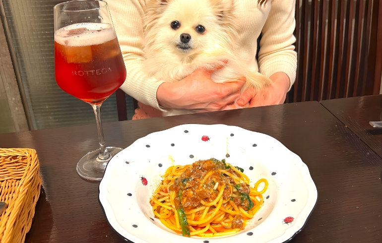 スパゲッティ