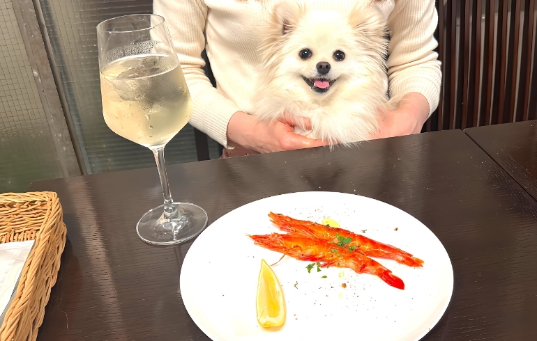 シュリンプ