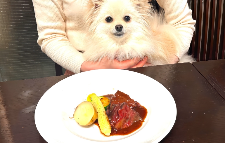 ほほ肉赤ワイン煮