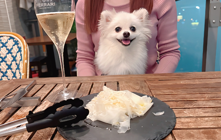 ラスパドゥーラチーズとゆめちゃん