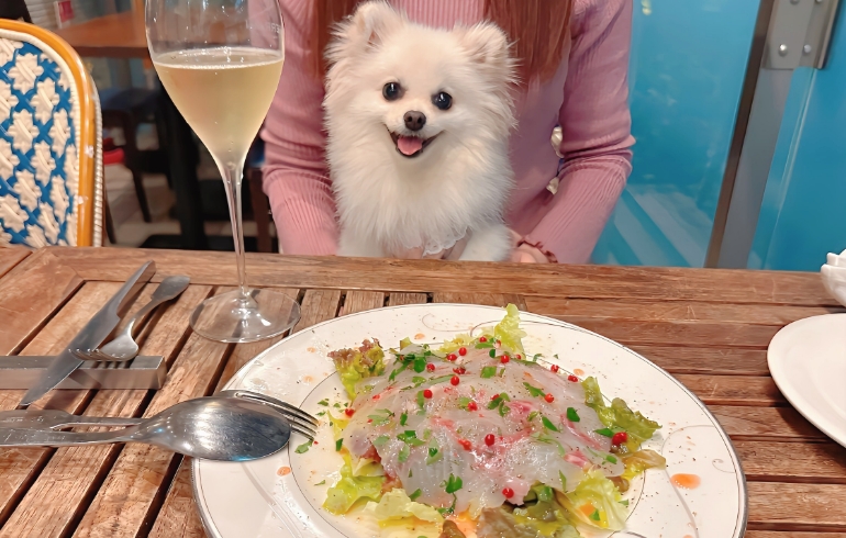 本日の鮮魚のカルパッチョ 柑橘類のソースとゆめちゃん