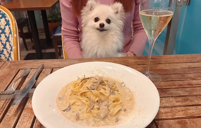 ポルチーニ茸とトリュフのせタリアテッレとゆめちゃん