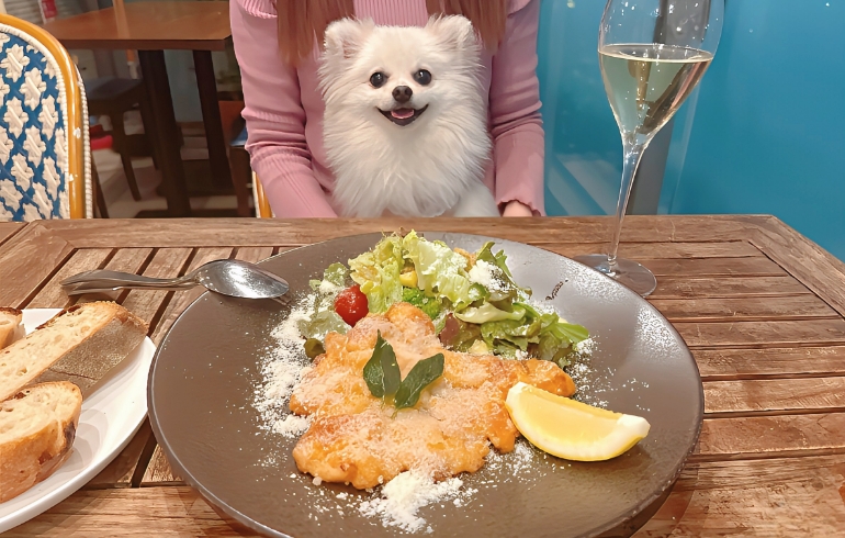 メカジキのカツレツ（コトレッタ）とゆめちゃん