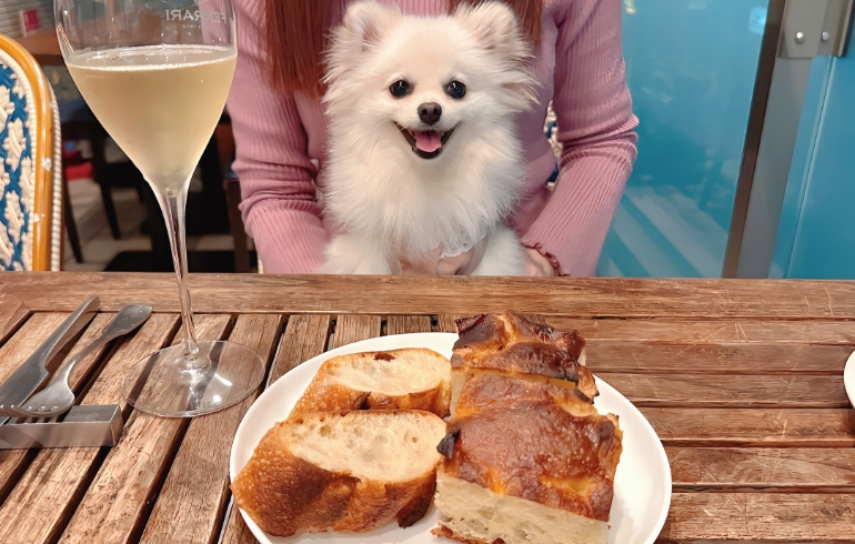 バケット各種とゆめちゃん