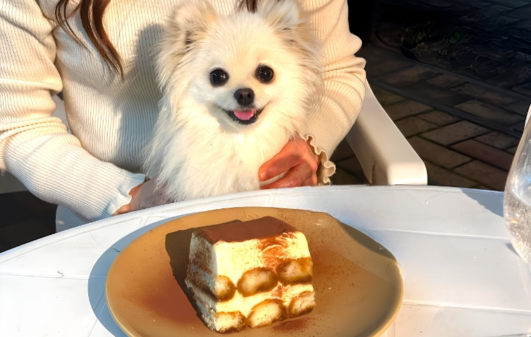 イタリアンデザート