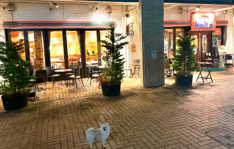 外観2