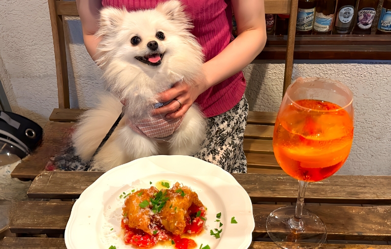 「トラットリアK（オリエンタルビストロK）」のメイン画像です。