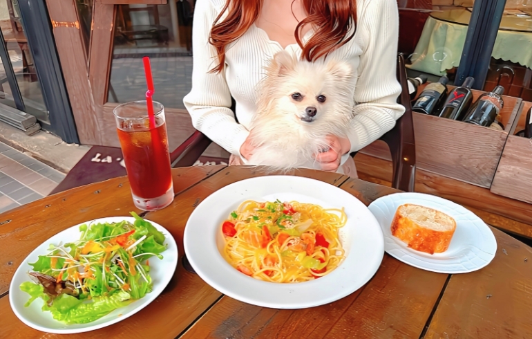 サラダ、パスタ、パンセット