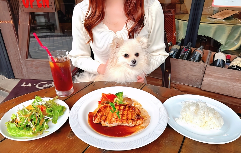 サラダ、ステーキ、ご飯セット