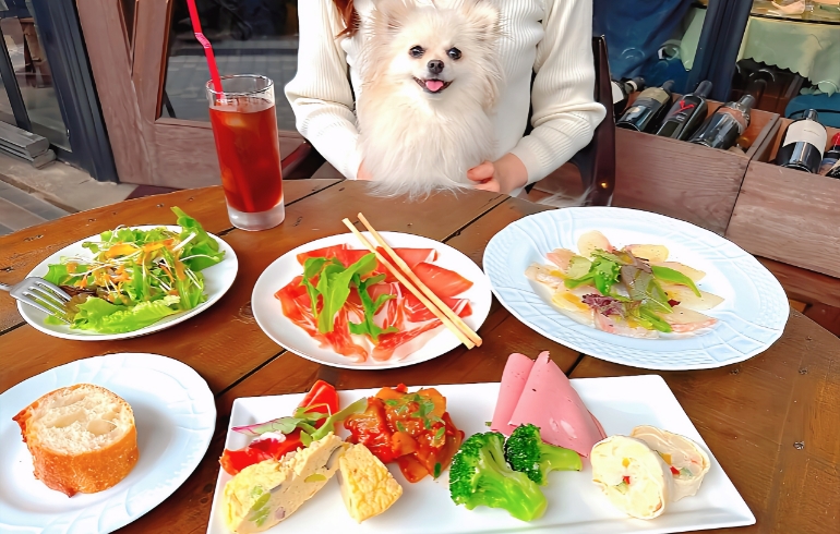 成の生ハムや漁港直送の魚介類、新鮮野菜など
