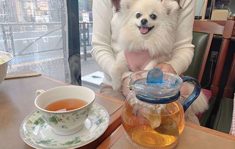 ハーブティーとゆめちゃん