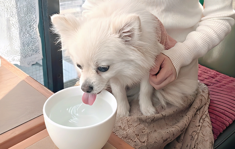 お水サービス（飲み中）とゆめちゃん