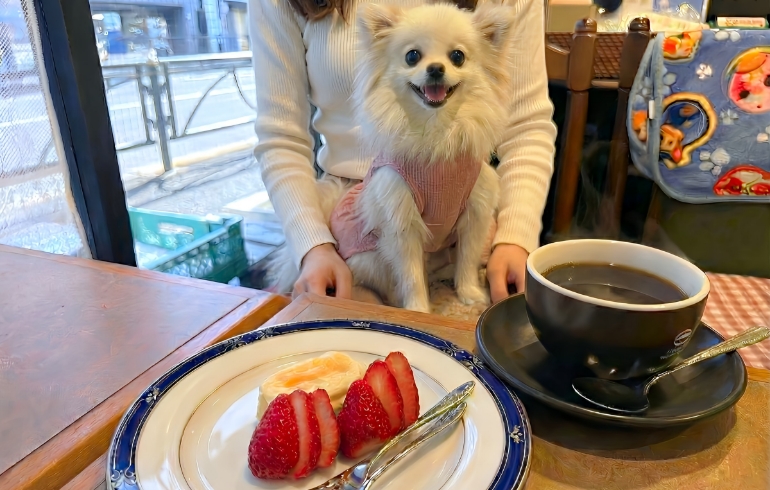 デザートとゆめちゃん