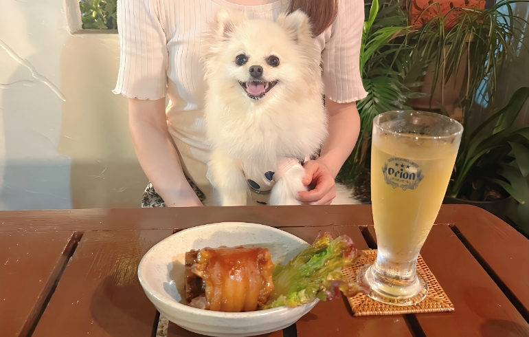 てびちとゆめちゃん
