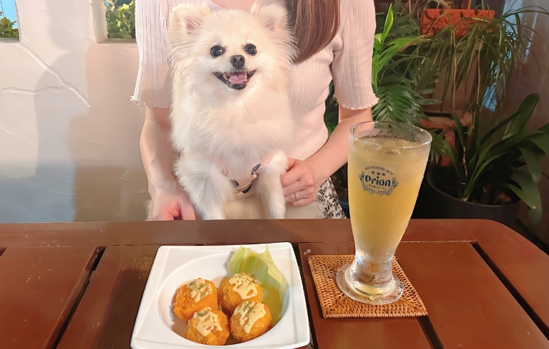 画像 1