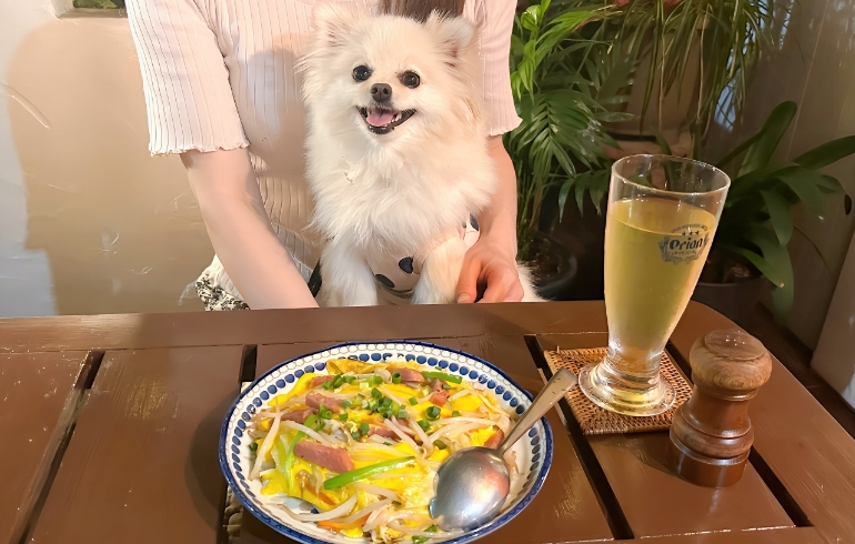 沖縄チャンポン飯とゆめちゃん