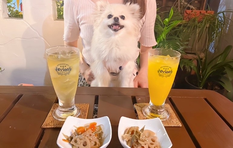 ドリンクとゆめちゃん