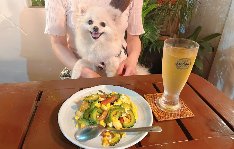 ゴーヤチャンプルーとゆめちゃん