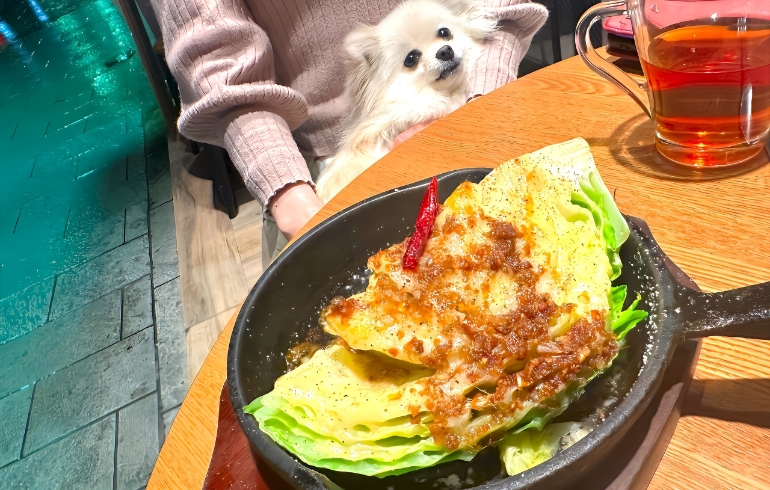 アンチョビキャベツ