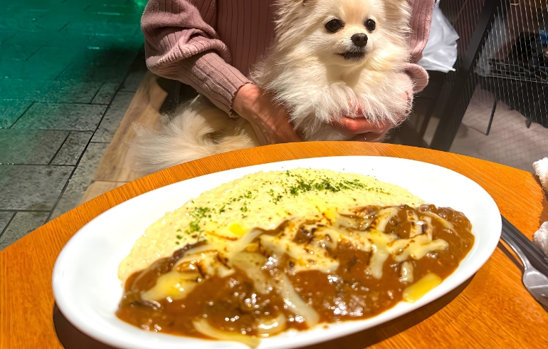 リゾット
