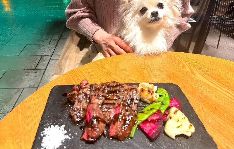 ステーキ