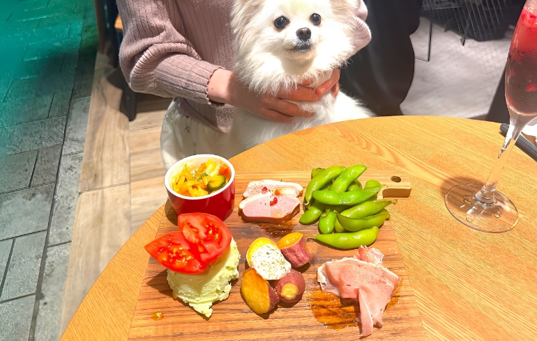 前菜の盛り合わせ
