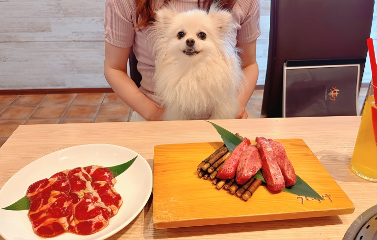ゆめちゃんとお肉1