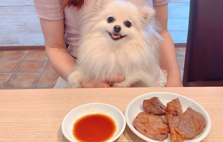 ゆめちゃんとお肉2
