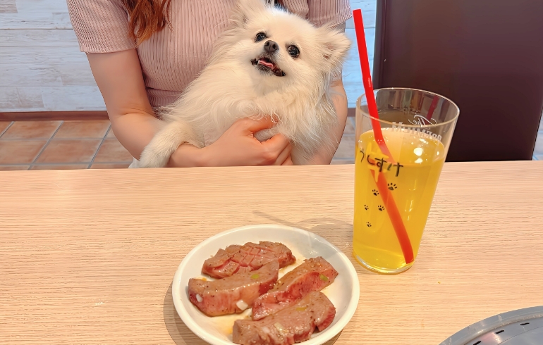 ゆめちゃんとお肉3