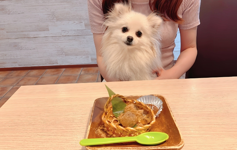 わらび餅とゆめちゃん