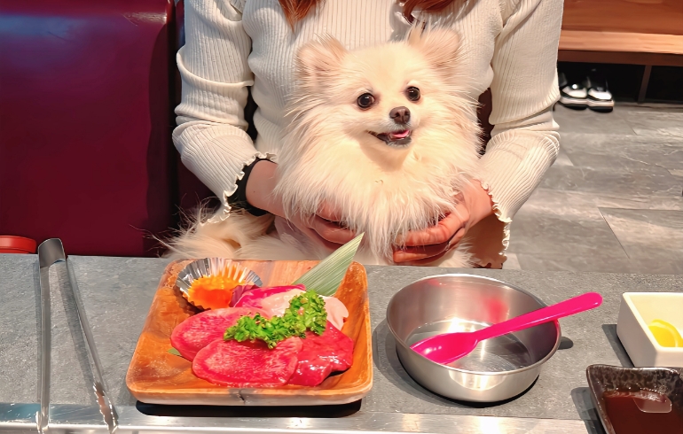 ワンちゃん用お肉とゆめちゃん