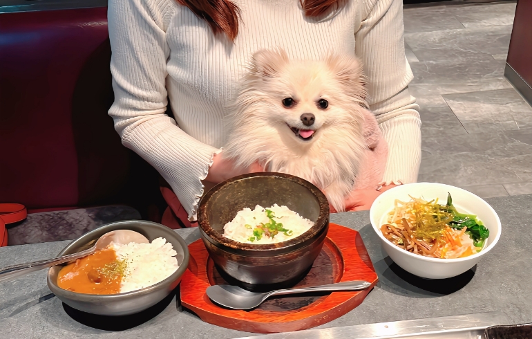 石焼ガーリックライスとビビンバとゆめちゃん