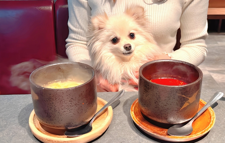 ゆめちゃんと玉子スープと旨辛ユッケジャンスープ