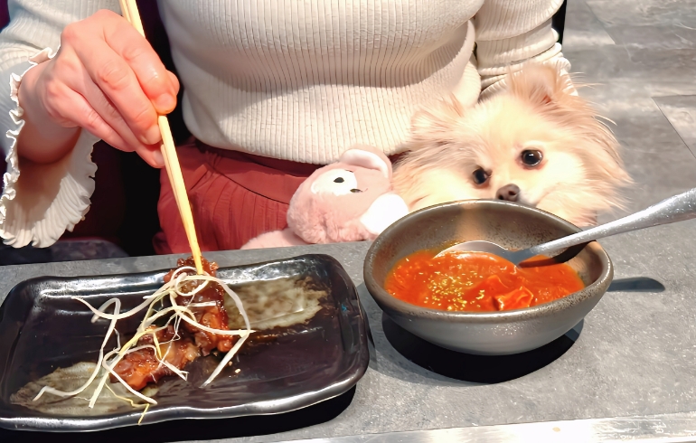 ゆめちゃんとおつまみお肉