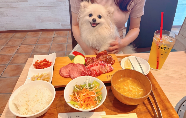 匠の牛たんランチ