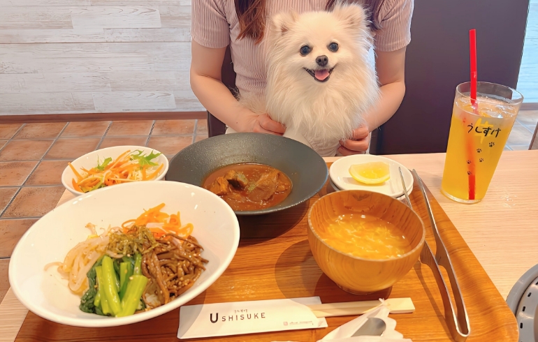 レディースランチとゆめちゃん