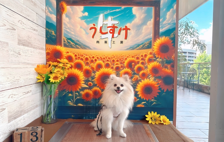ワンちゃん専用の撮影ブース