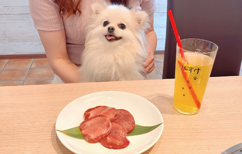 ランチお肉とゆめちゃん