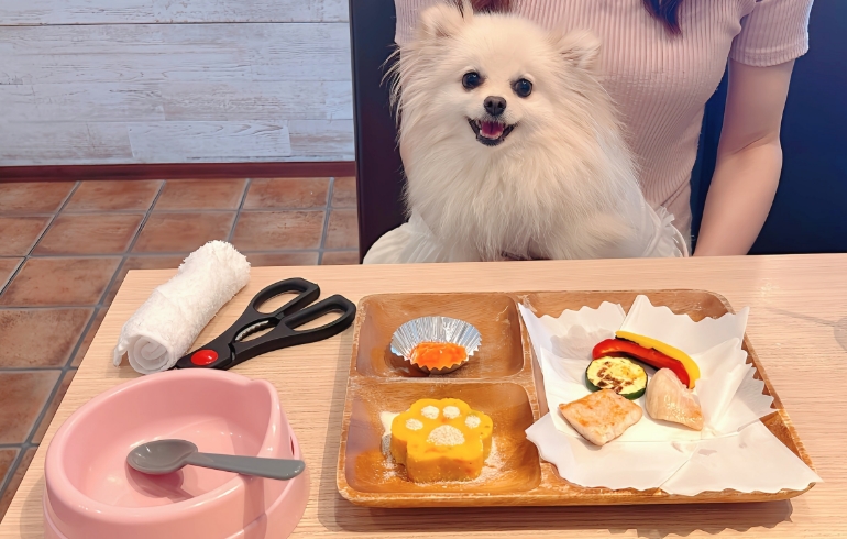 ワンちゃんランチセットとゆめちゃん