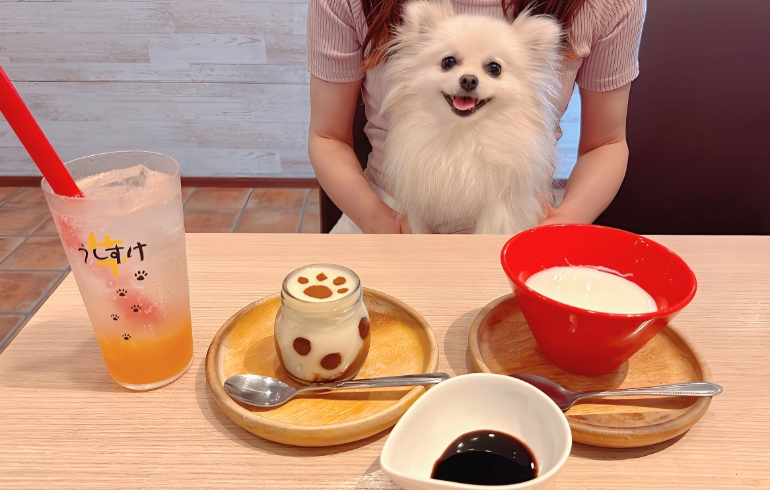 ティラミスと杏仁豆腐とドリンクとゆめちゃん